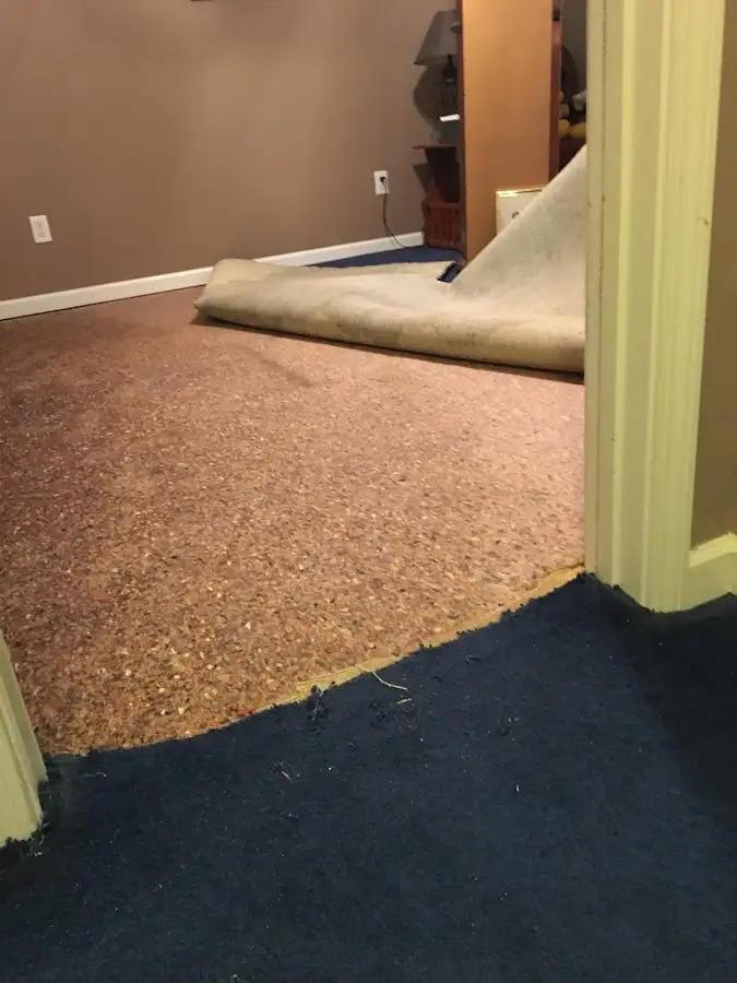 Carpet pad removal revealing water damage during Drying & Dehumidification in Beebe