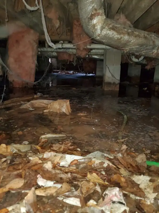 Crawl space flood assessment for Leak Detection & Repair in Beebe